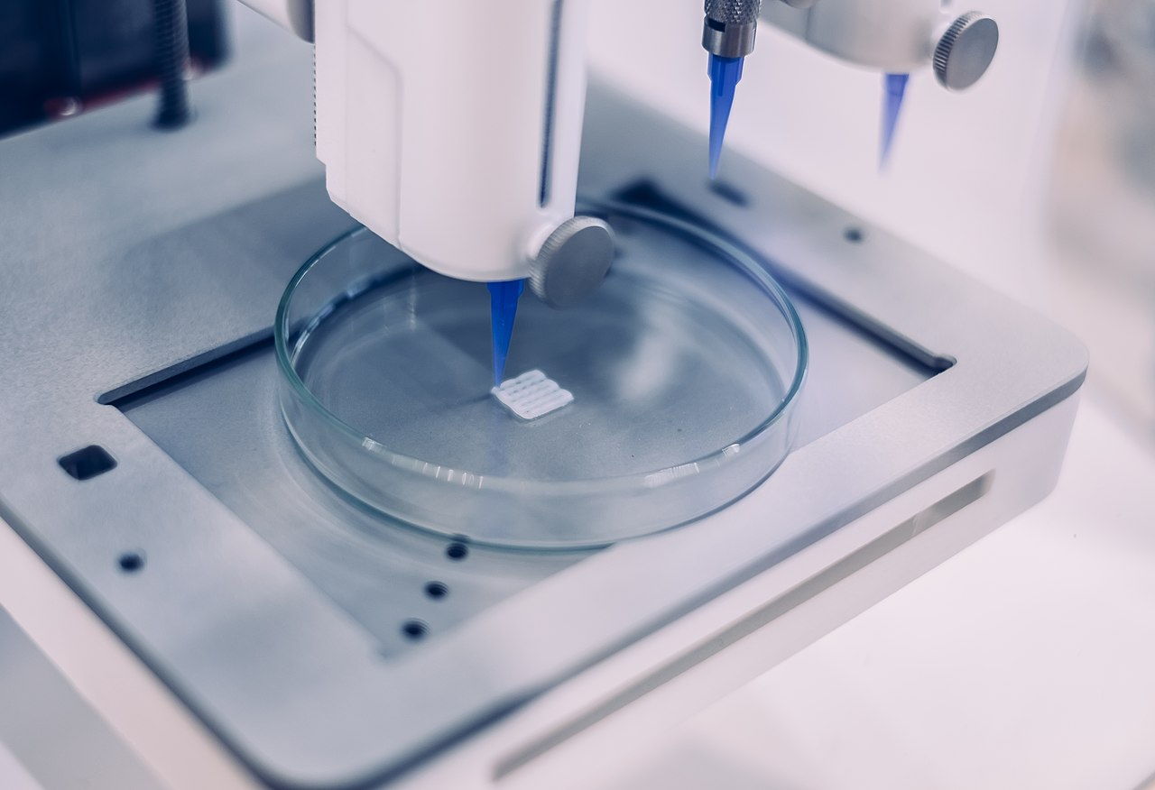 A 3D bioprinted construct &mdash; representative of the hydrogel scaffolds produced by Allevi-class extrusion bioprinters.